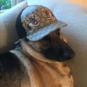 Meet your Posher, Ray